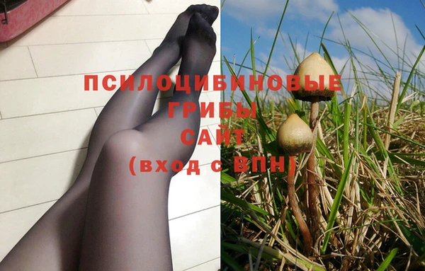 трава Осташков