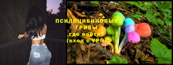apvp Остров