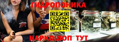 spice Бийск
