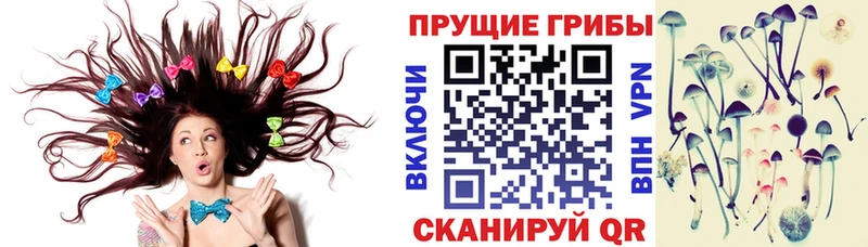 Галлюциногенные грибы MAGIC MUSHROOMS  Вязьма 