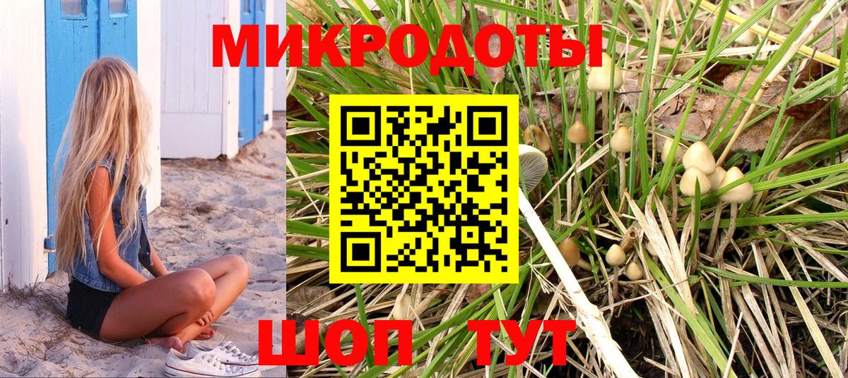 Галлюциногенные грибы GOLDEN TEACHER  Вязьма  где купить наркоту  Псилоцибиновые грибы Magic Shrooms 