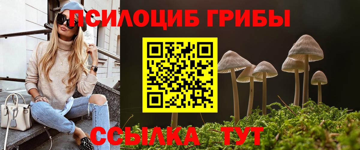 Галлюциногенные грибы Magic Shrooms Вязьма