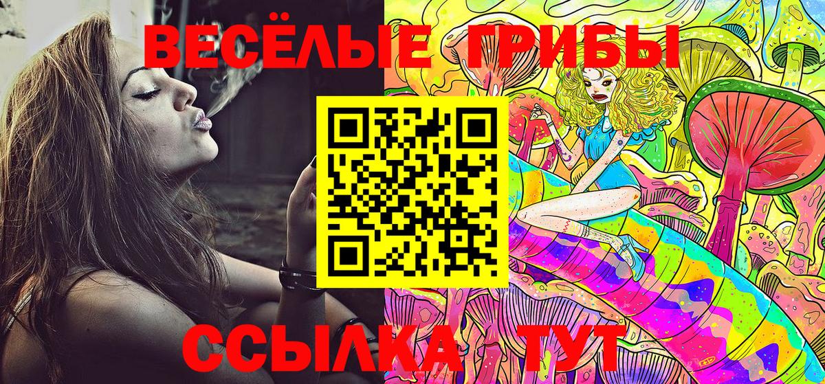 Галлюциногенные грибы MAGIC MUSHROOMS  Вход с VPN  Вязьма  Псилоцибиновые грибы MAGIC MUSHROOMS 